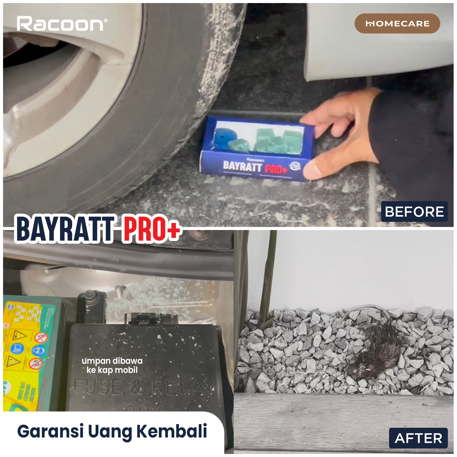 BAYRATT PRO