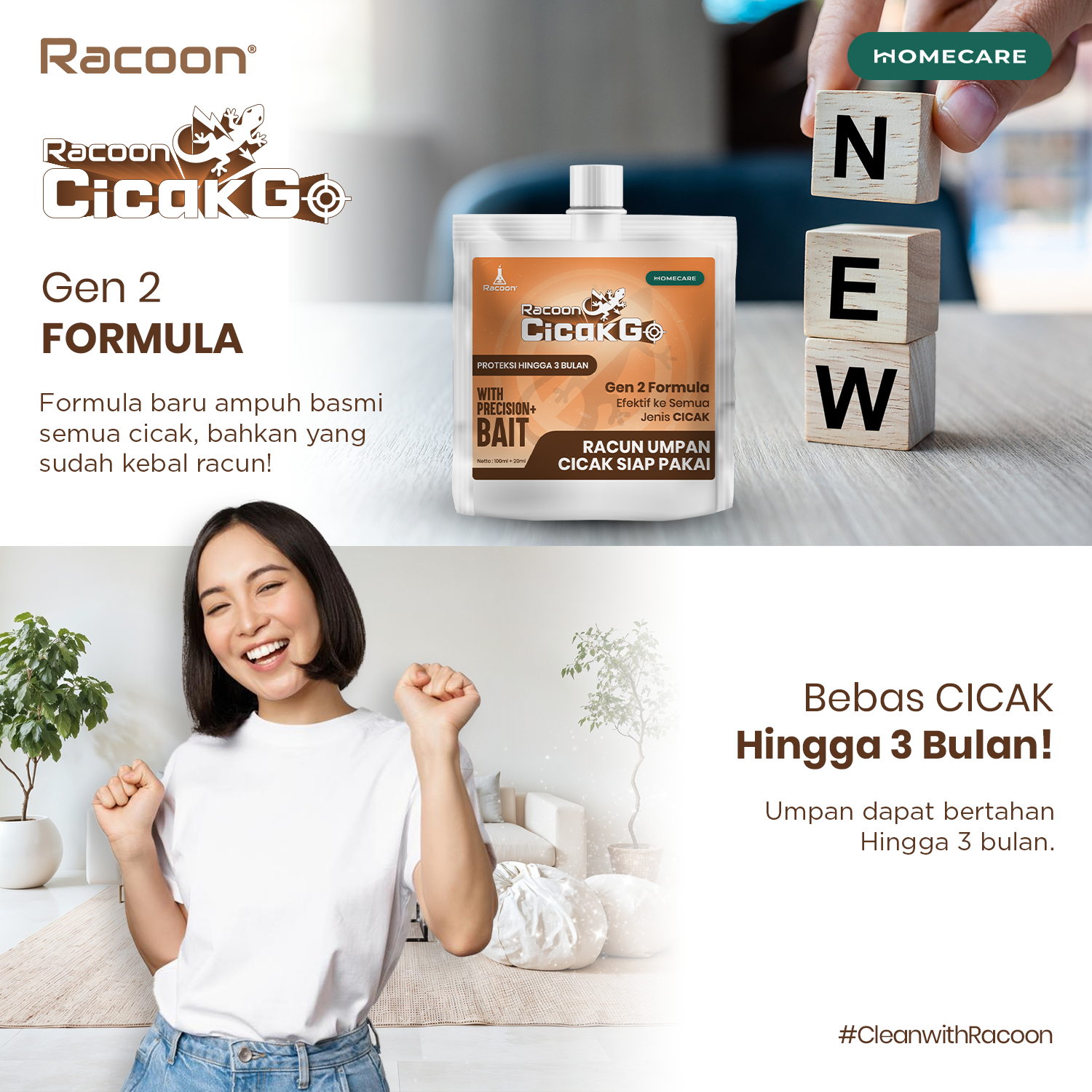 Racoon—CicakGo2